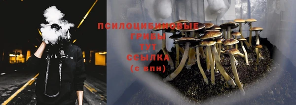 прущие грибы Алексеевка